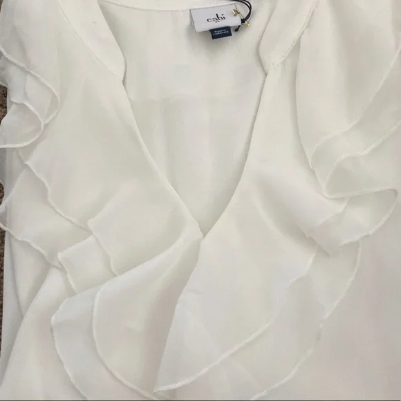 | CAbi 3979 Portrait Blouse - Picture 6 of 7